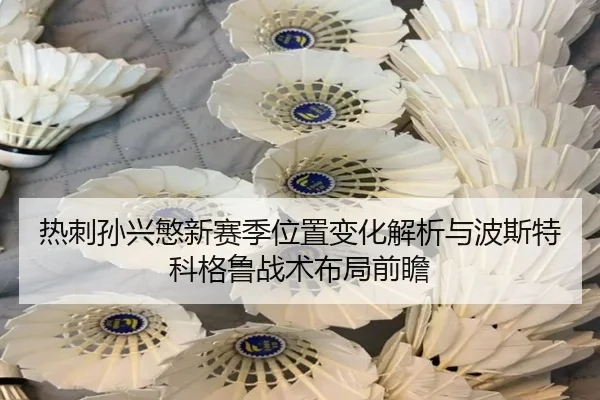 re-ci-sun-xing-min-xin-sai-ji-wei-zhi-bian-hua-jie-xi-yu-bo-si-te-ke-ge-lu-zhan-shu-bu-ju-qian-zhan-1-448.jpg